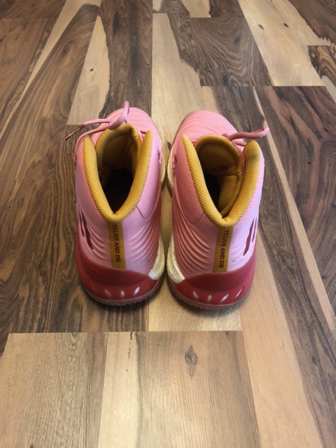 Adidas Crazy Explosive Pink - Size 11.5