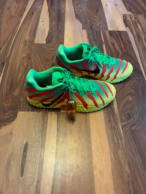 Nike JA 3 Jurassic Park Yellow, Red, Green - Size 11.5  Keychain included