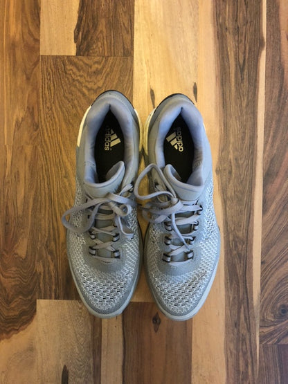 Adidas Crazy Light Boost Gray - Size 12