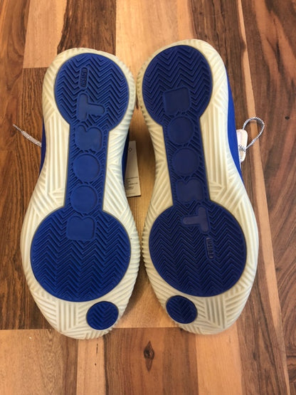 Adidas Pro Boost Blue/White - Size 11