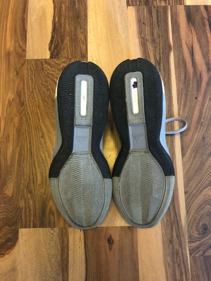 Adidas Crazy Light Boost Gray - Size 12